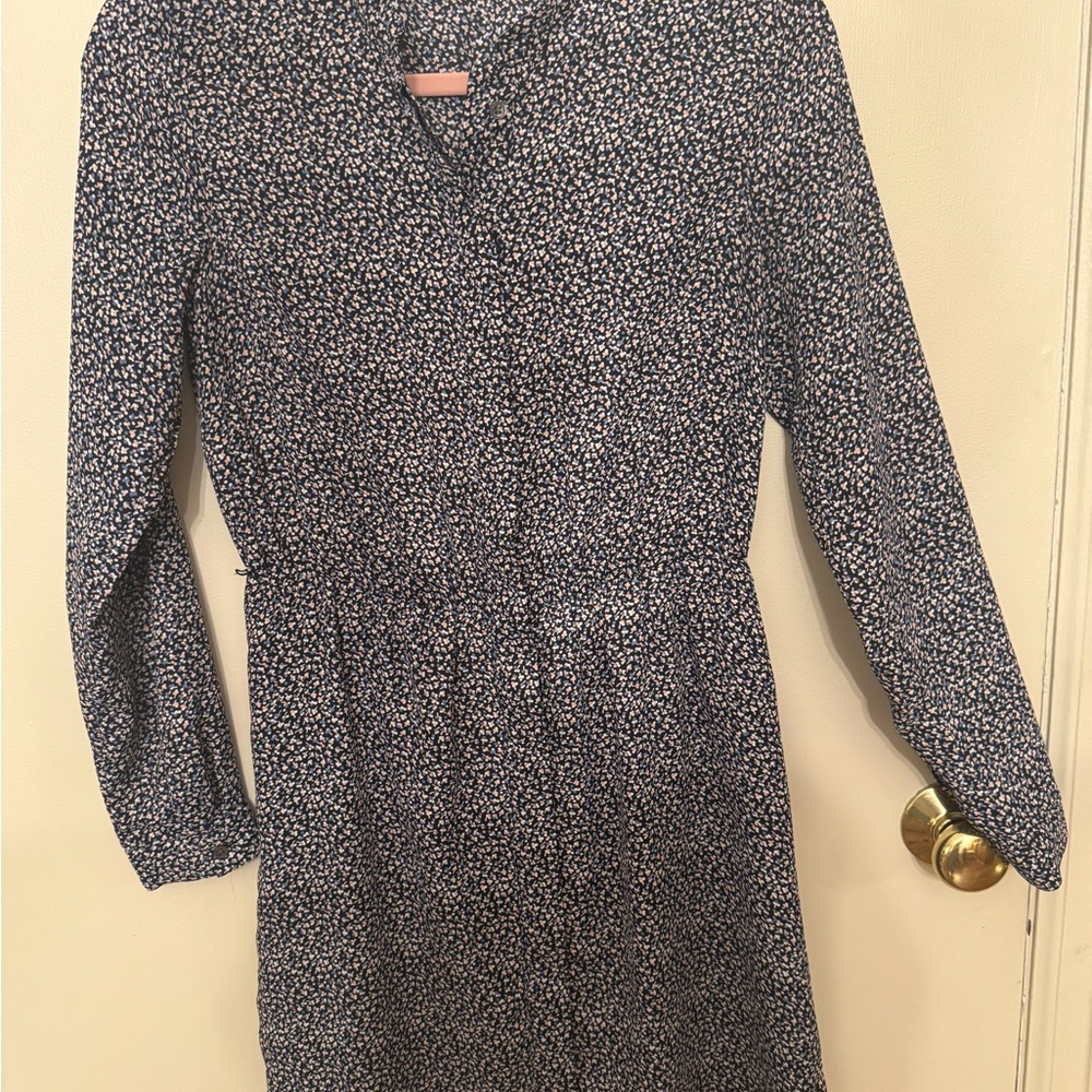 Ann Taylor Blue pink and white floral patterned shirt dress